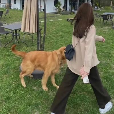 本地特色